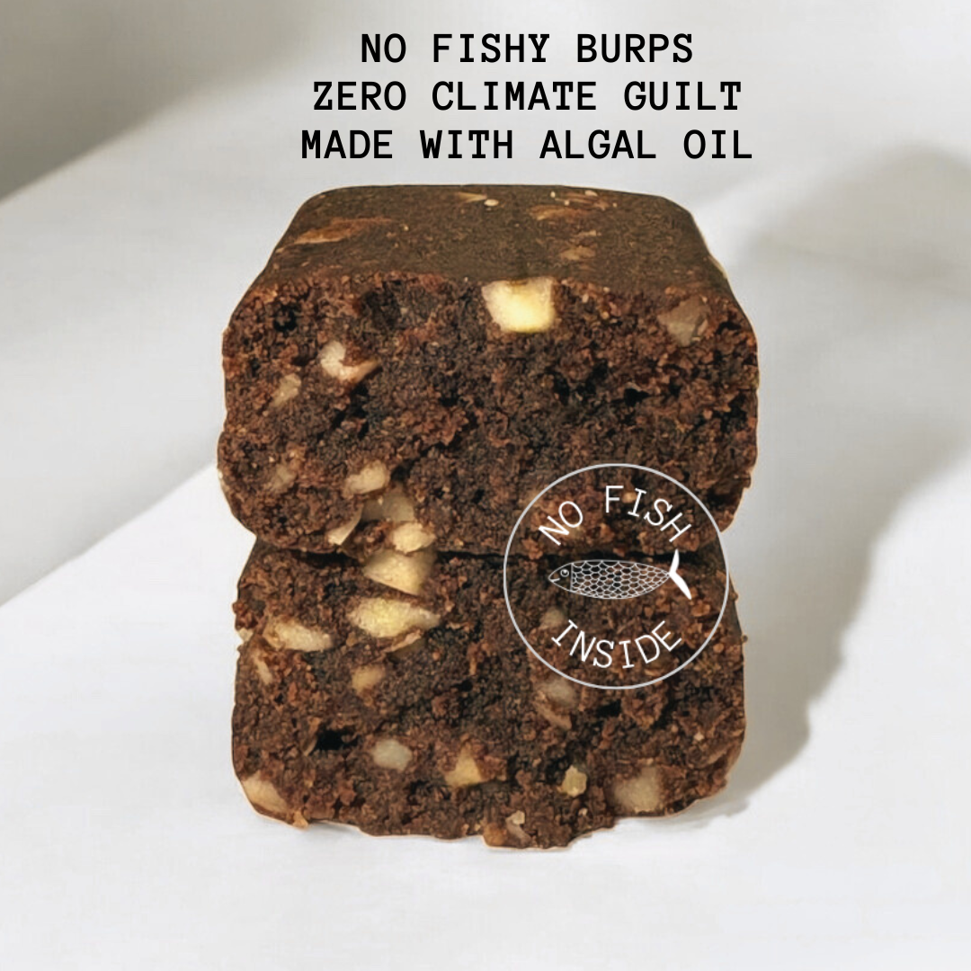 OMG8+ Omega-3 Protein Bar